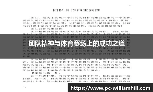 团队精神与体育赛场上的成功之道