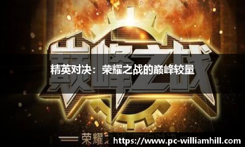 精英对决：荣耀之战的巅峰较量